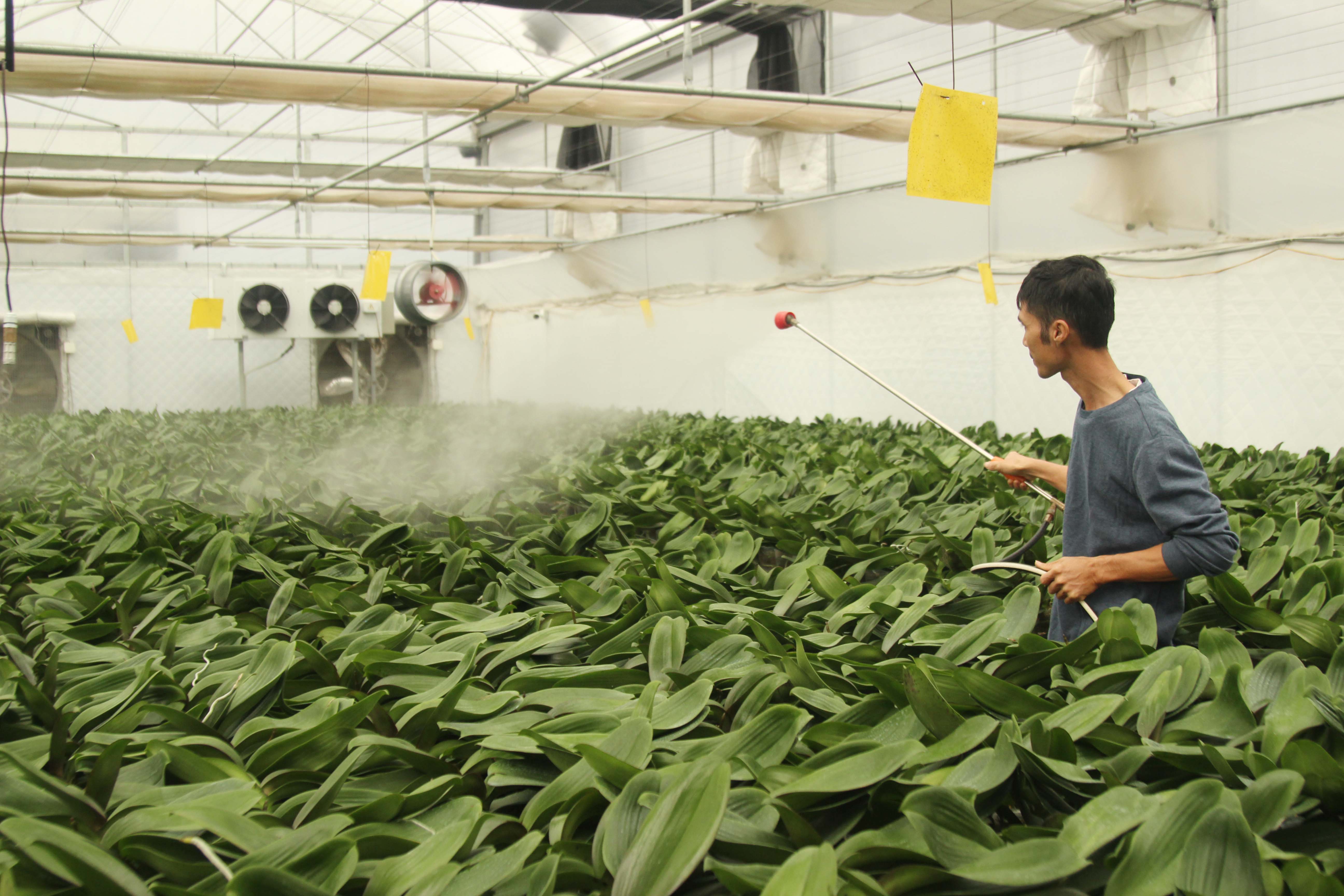 Giới thiệu Nghị định số 60/2021/NĐ-CP ngày 21/6/2021 của Chính phủ quy định cơ chế tự chủ tài chính của đơn vị sự nghiệp công lập