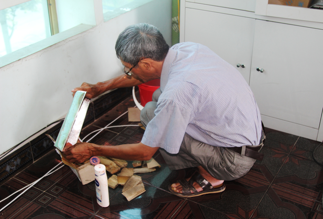 Một số vấn đề trong xử lý phòng mối nền công trình