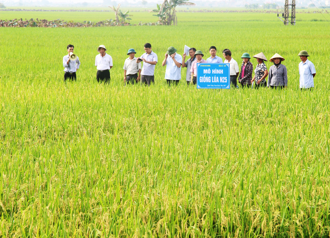 Hải Dương: Một số định mức kinh phí hỗ trợ trong hoạt động nghiên cứu khoa học và phát triển công nghệ