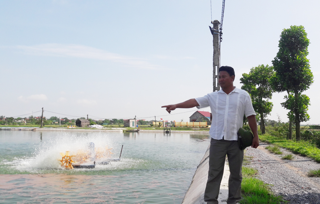 Mô hình nuôi các theo công nghệ mới ở Tứ Kỳ