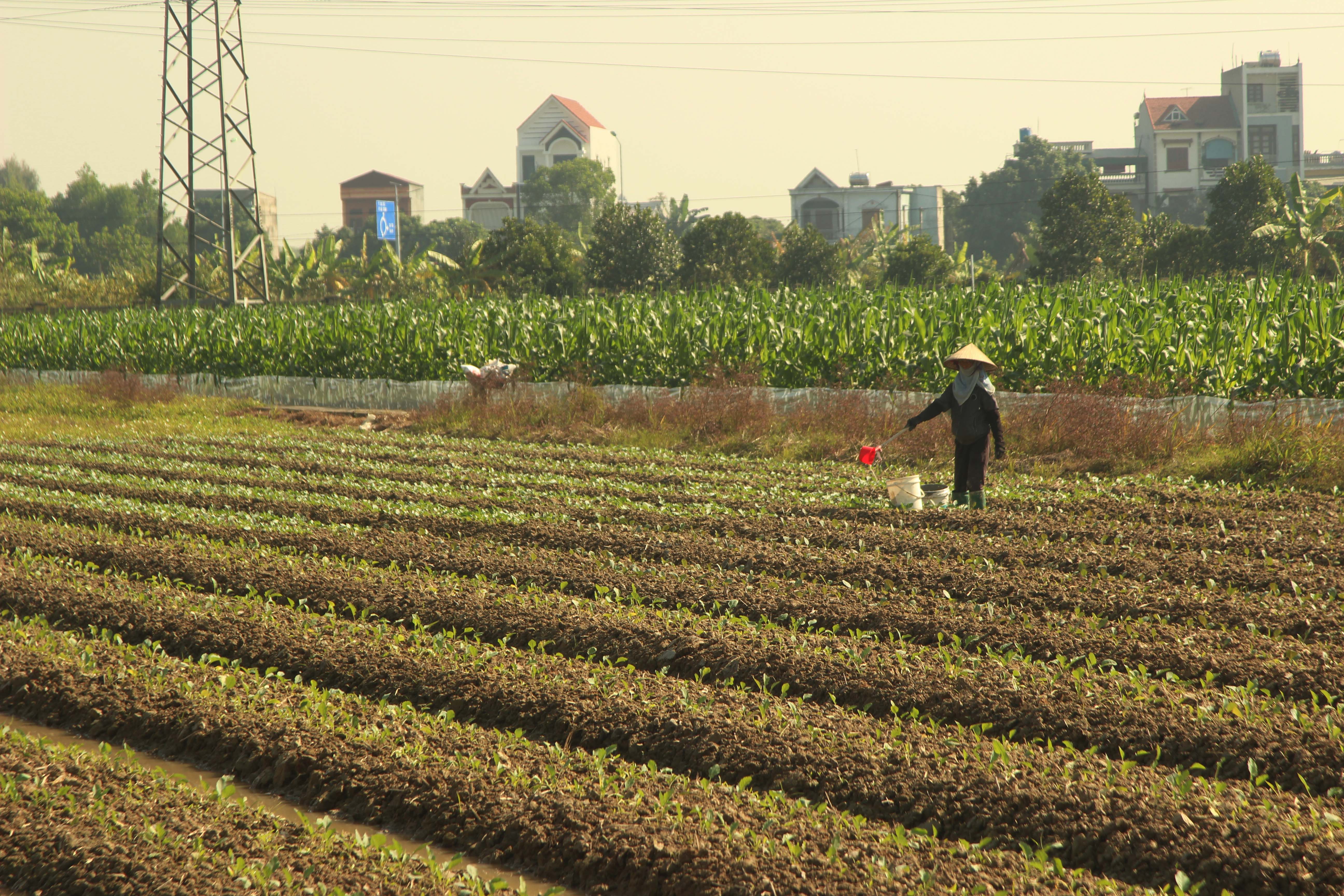 Nhận định thời tiết 6 tháng đầu năm và thời tiết dịp tết Nguyên Đán Nhâm Dân - 2022