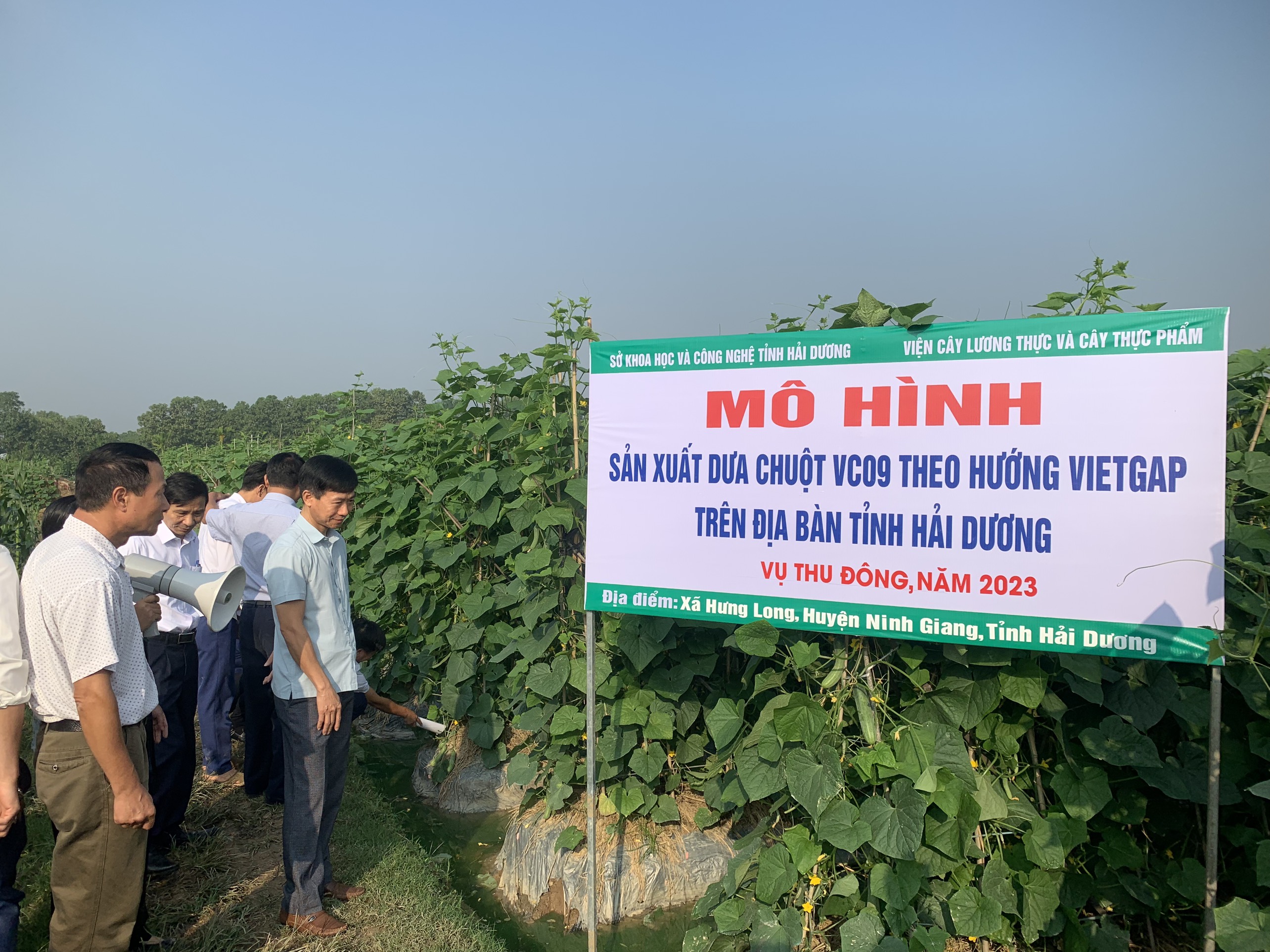 Xây dựng mô hình sản xuất dưa chuột VC09 theo hướng VietGAP trên địa bàn tỉnh Hải Dương