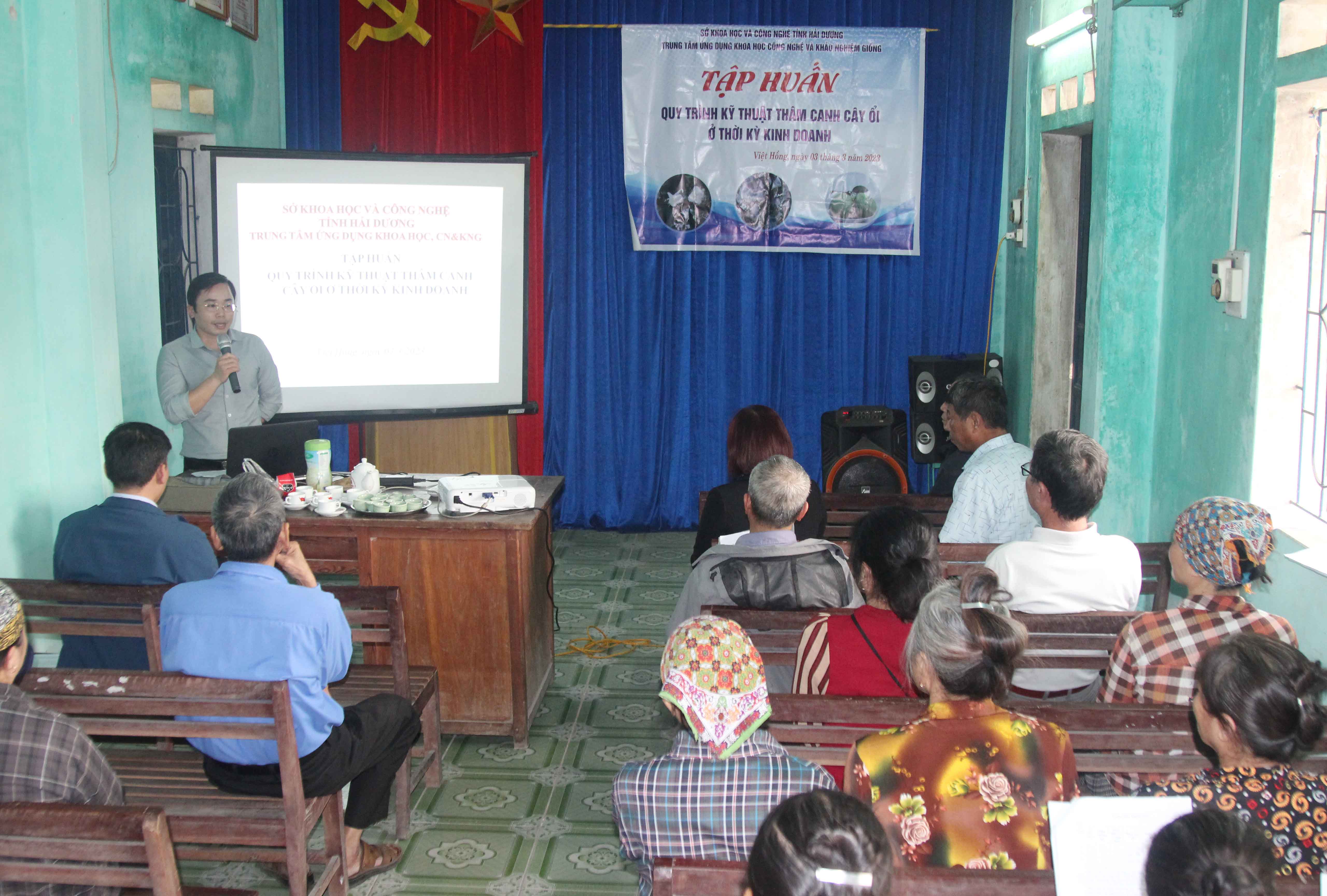 Chuyển giao quy trình thâm canh cây ổi ở thời kỳ kinh doanh
