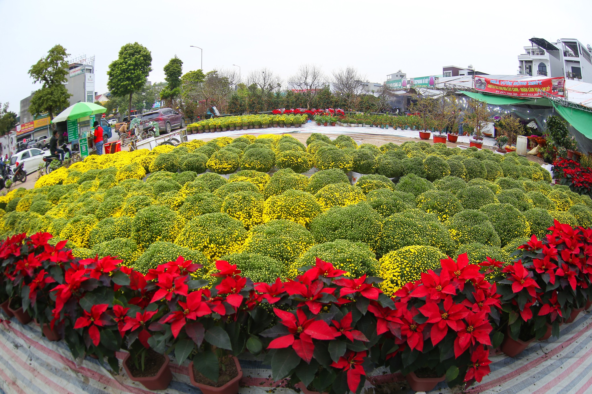 Thời tiết Tết Nguyên Đán Giáp Thìn - 2024