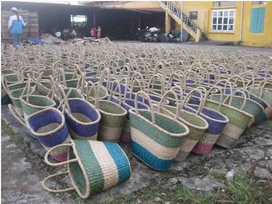 Xây dựng nhãn hiệu tập thể Cói Kim Sơn