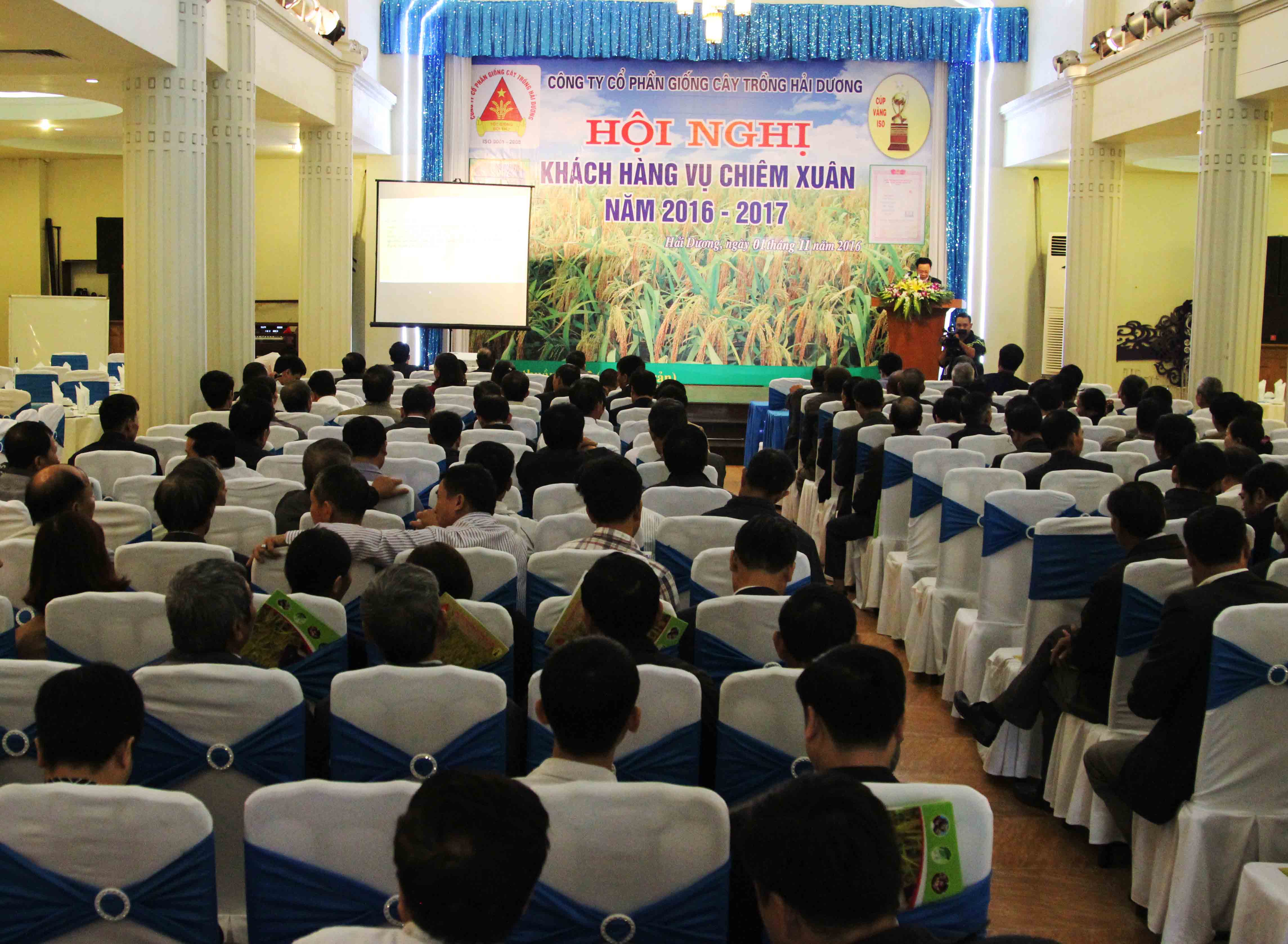 Công ty CP Giống cây trồng Hải Dương: cung ứng, dịch vụ giống cây trồng vụ chiêm xuân