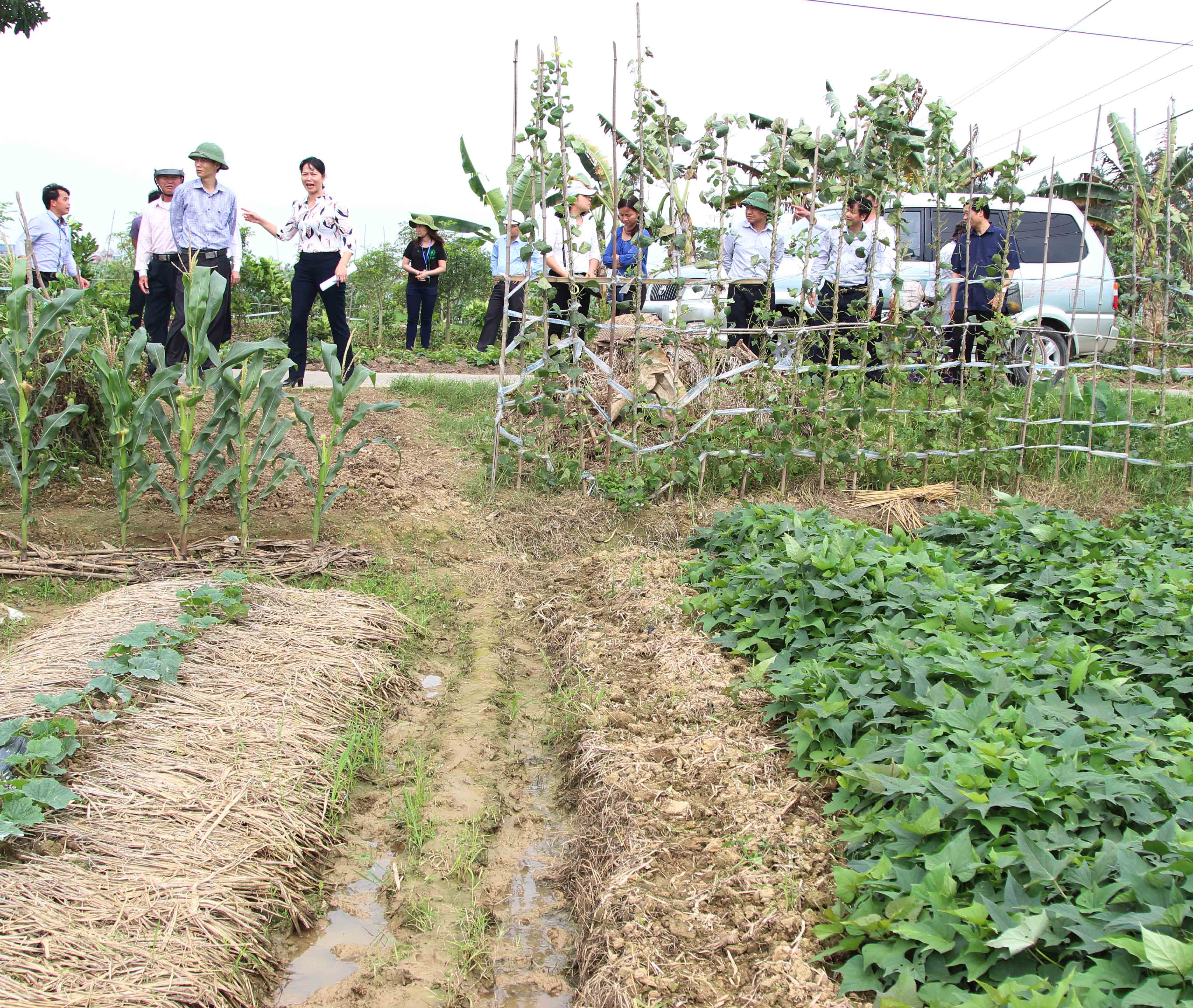 Chuyển biến trong hoạt động nông nghiệp và phát triển nông thôn