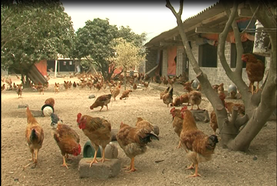 Kết quả hoạt động Khoa học công nghệ tỉnh Hải Dương những năm gần đây và định hướng những năm tới