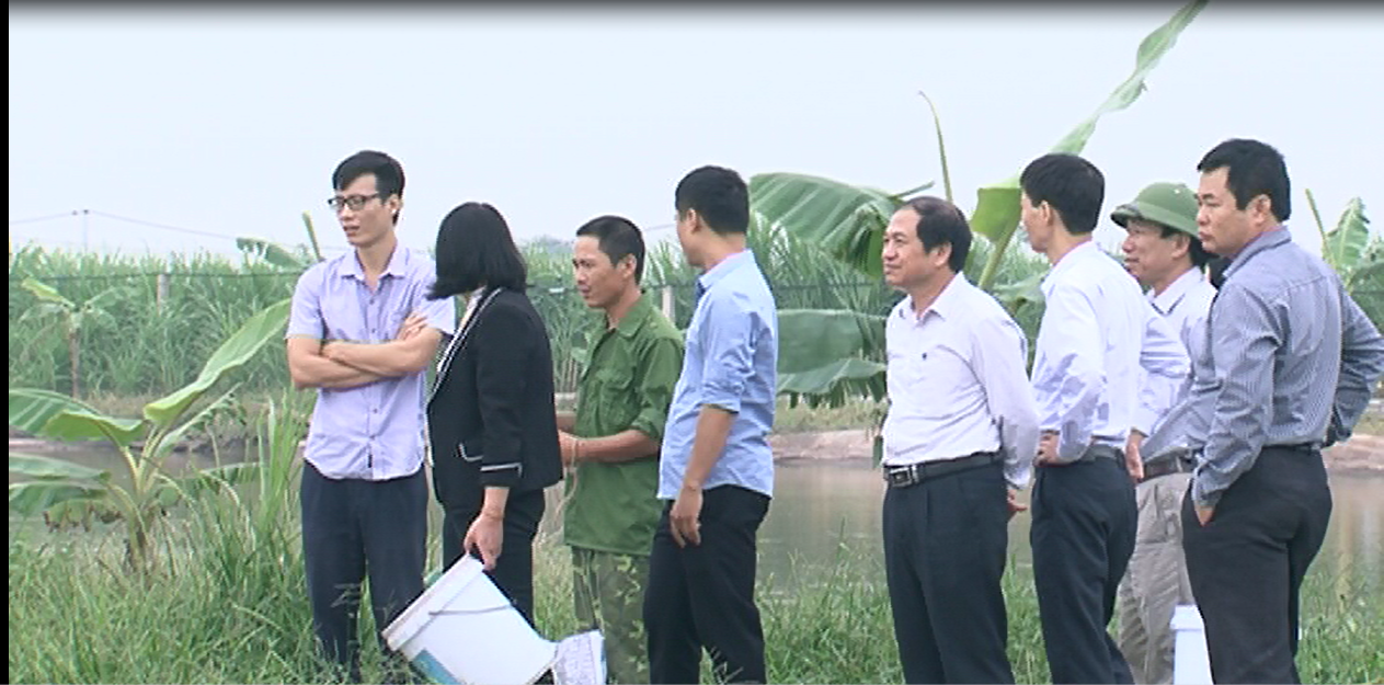 Video: Hội thảo đầu bờ mô hình nuôi cá rô phi lai xa trong ao nổi bán nổi