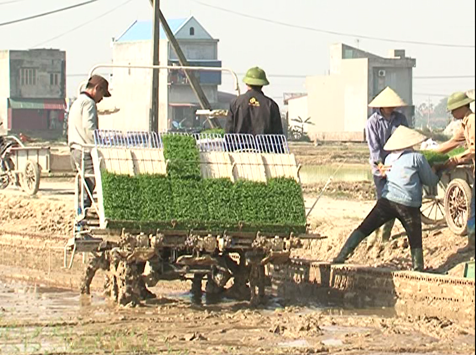 Đưa cơ giới hóa vào sản xuất nông nghiệp