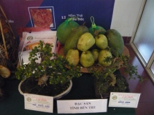 Chỉ dẫn địa lý quốc gia được bảo hộ tăng 3,5 lần