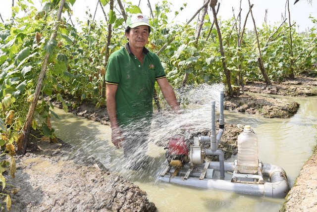 Sáng chế thiết bị tưới rau màu tiện dụng