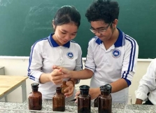 Học sinh chế thuốc đuổi muỗi từ lá cây