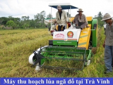Sáng chế thành công máy gặt đập liên hợp thu hoạch lúa