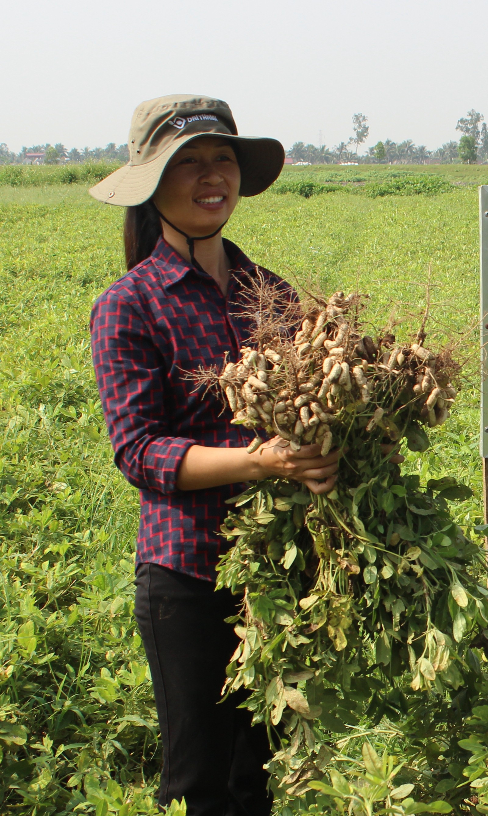 Nguyên Giáp được mùa lạc đỏ ba nhân