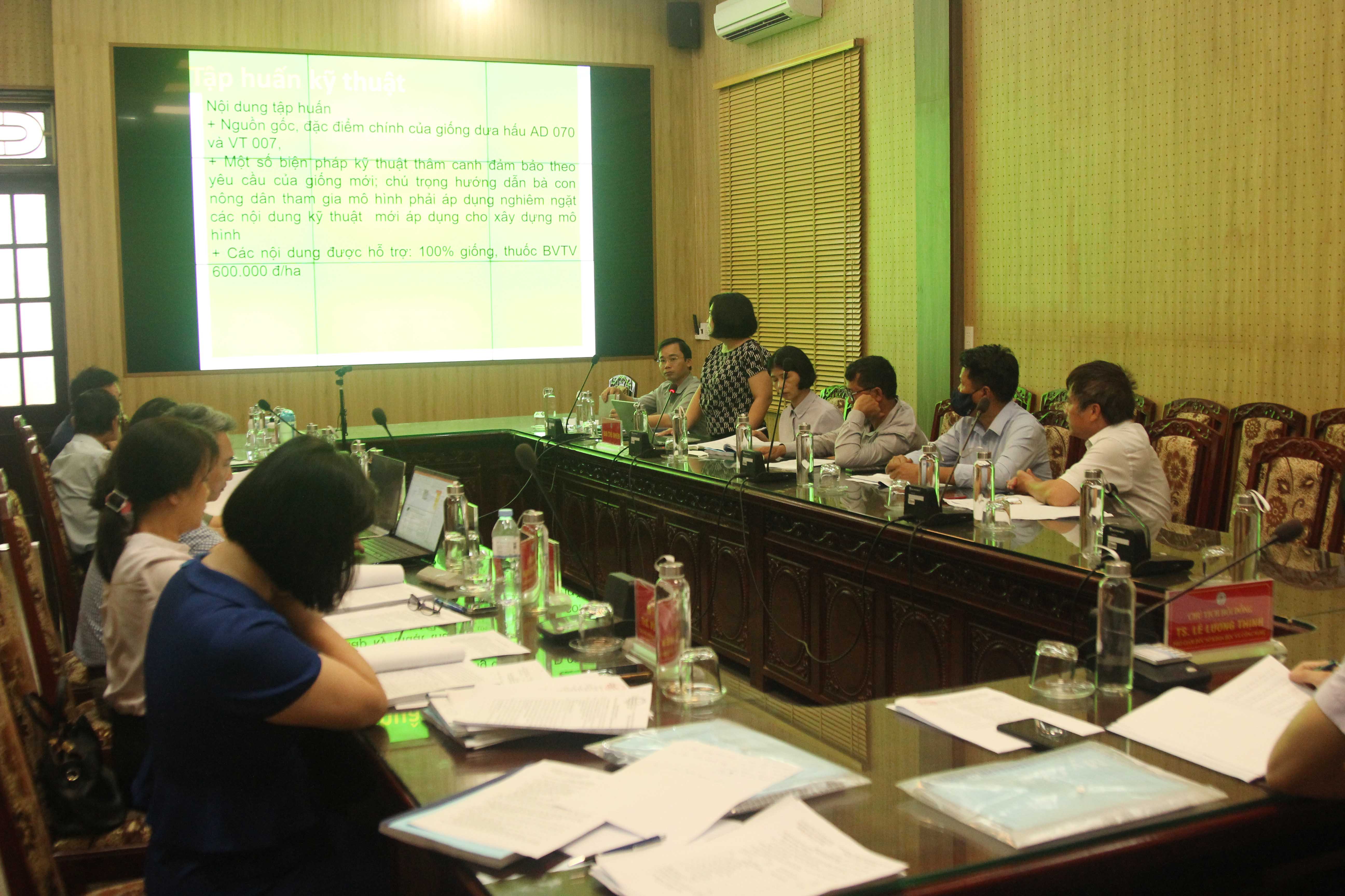 Mô hình sản xuất thử 2 giống dưa hấu mới F1 AD 070 và VT 007