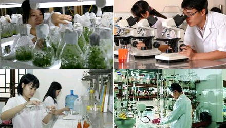 Văn kiện Đại hội XII: GD-ĐT phải gắn với khoa học, công nghệ