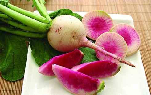 Củ cải mini “trắng vỏ đỏ lòng” hút khách làm vườn