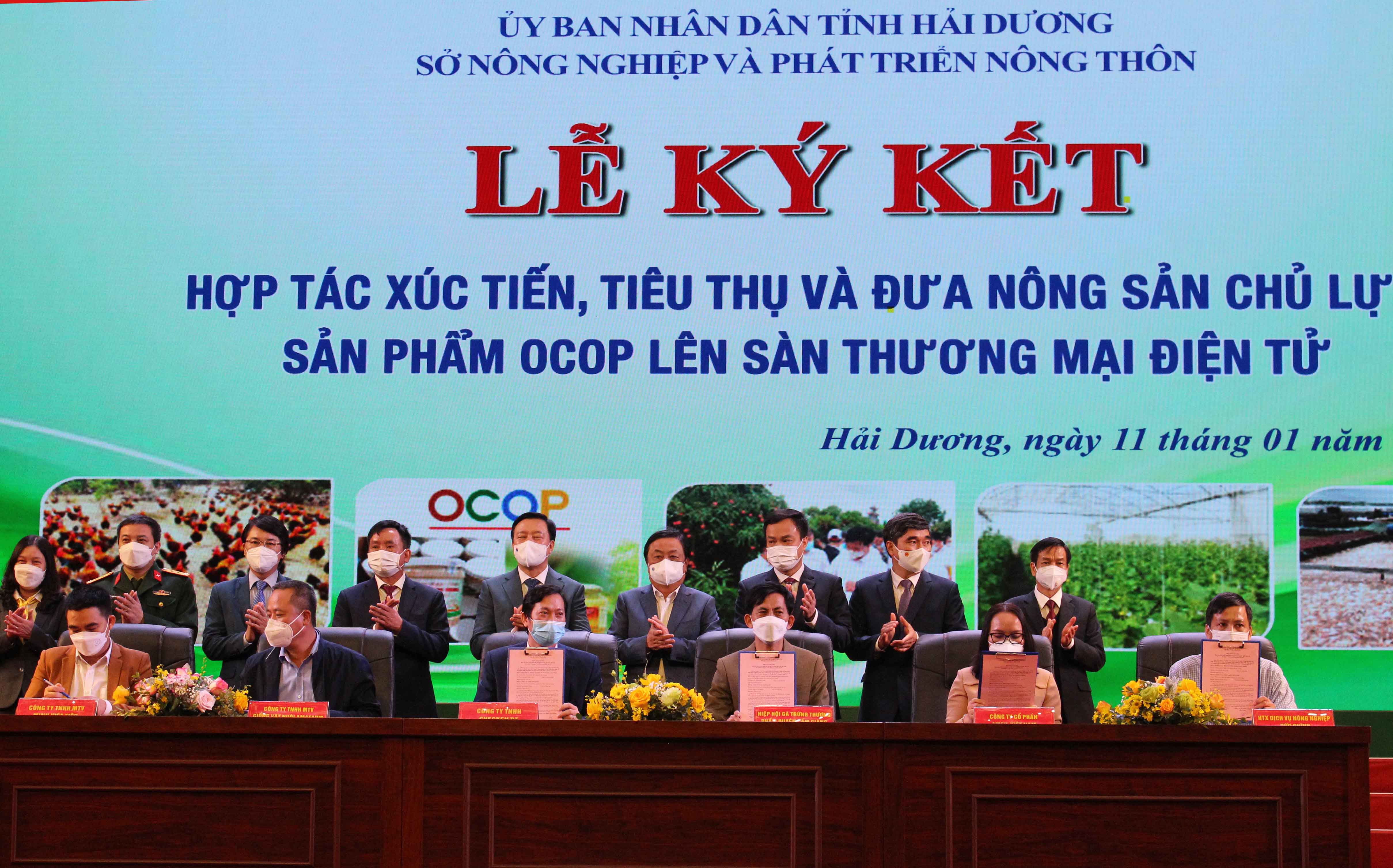 Ứng dụng khoa học công nghệ, chuyển đổi số trong sản xuất nông nghiệp