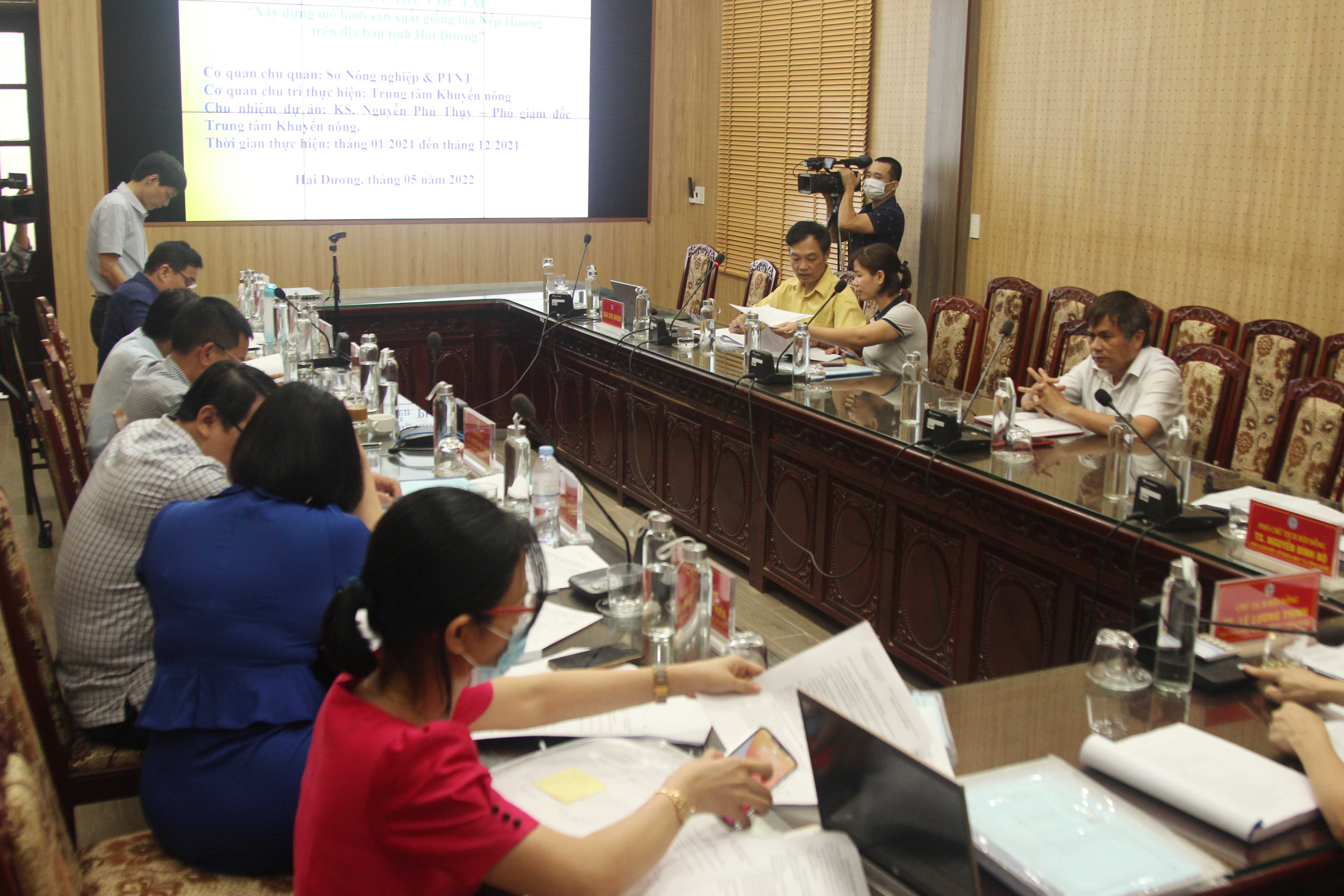 Mô hình sản xuất giống lúa Nếp hương trên địa bàn tỉnh