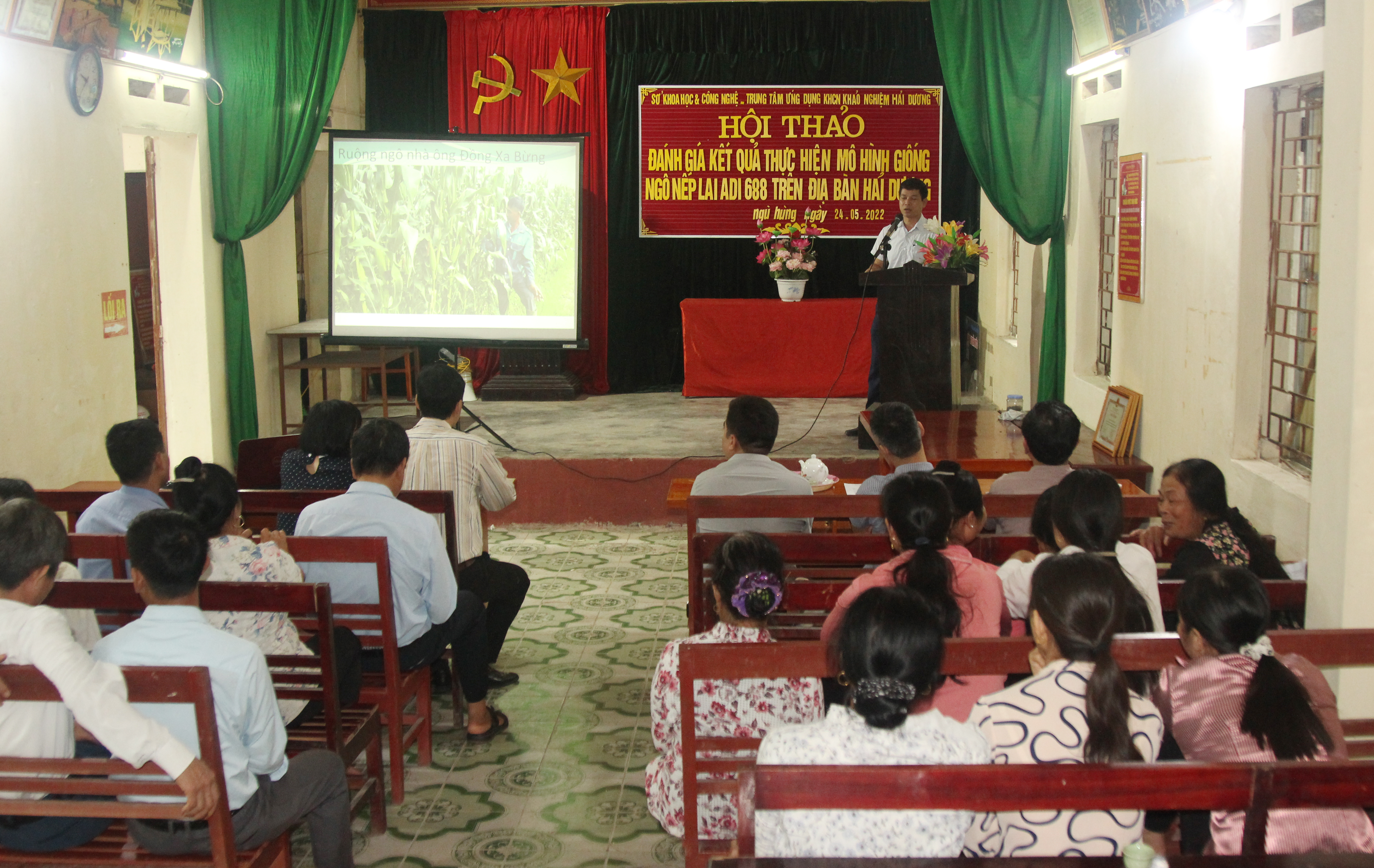 Chuyển giao ứng dụng xây dựng mô hình trồng ngô nếp lai ADI 688 