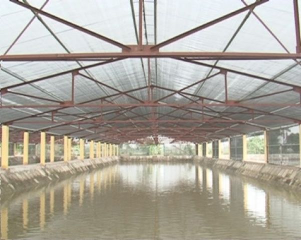  Đầu tư phát triển tiềm lực khoa học và công nghệ phục vụ nuôi trồng thủy sản