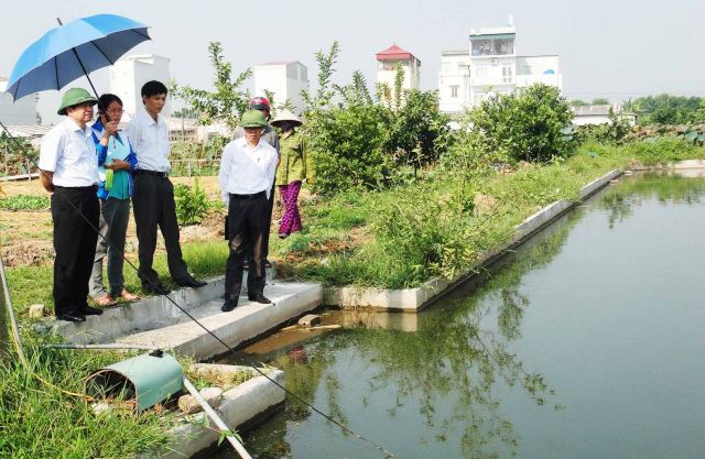 Mô hình sản xuất và sử dụng chế phẩm sinh học Biof xử lý môi trường ao nuôi thâm canh cá lai xa
