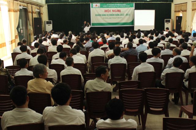 Công ty TNHH MTV Giống cây trồng Hải Dương: triển khai cung ứng dịch vụ giống cây trồng phục vụ sản xuất vụ chiêm xuân.