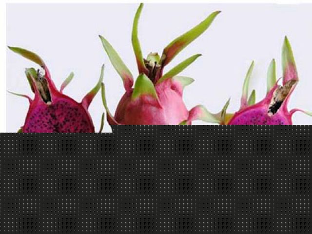 Kiếm tiền tỷ từ quyền sở hữu trí tuệ