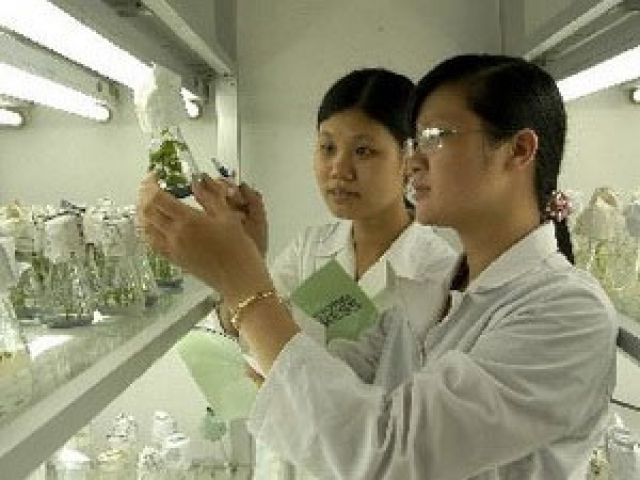 Cần sớm khởi động ứng dụng với cây trồng sinh học