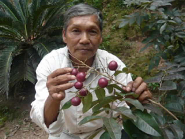 Độc đáo nhãn tím