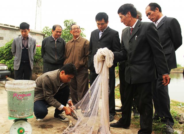 Thủy sản Hải Dương phát triển ổn định