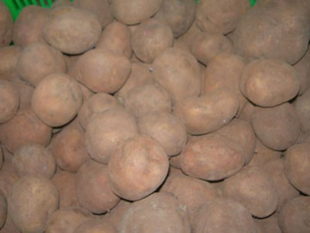 Nhận diện khoai tây Trung Quốc đội lốt Đà Lạt