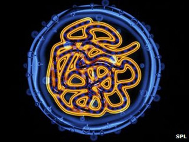 Đã tìm ra mẫu vắc-xin viêm gan C