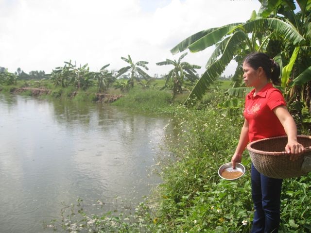 Hiệu quả từ nuôi thủy sản giống mới