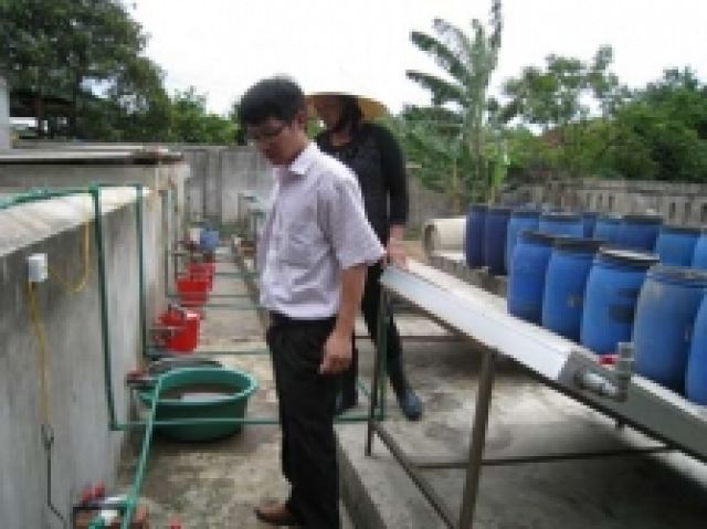 Sản xuất nước mắm bằng ... năng lượng mặt trời