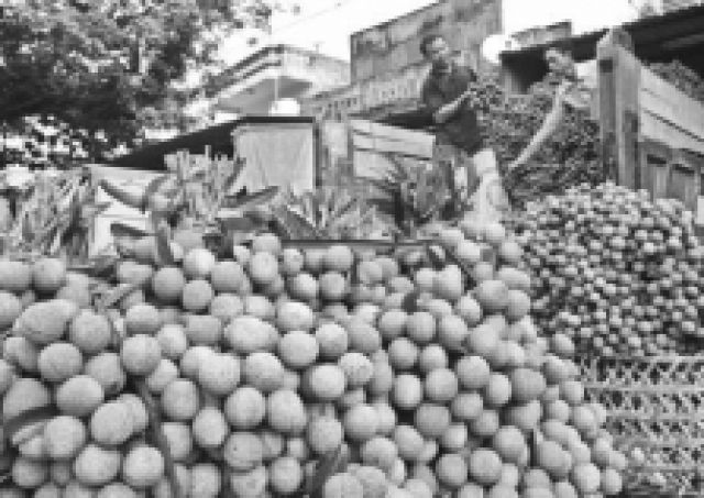 Bảo vệ nhãn hiệu, chỉ dẫn địa lý dùng cho nông sản nổi tiếng