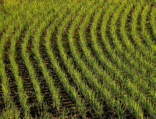 Thành công từ ứng dụng KH&CN, đổi mới công nghệ