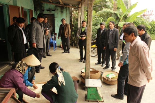 Hội nghị nghiệm thu cấp trung ương Dự án “Xây dựng, quản lý và phát triển nhãn hiệu tập thể “nếp cái