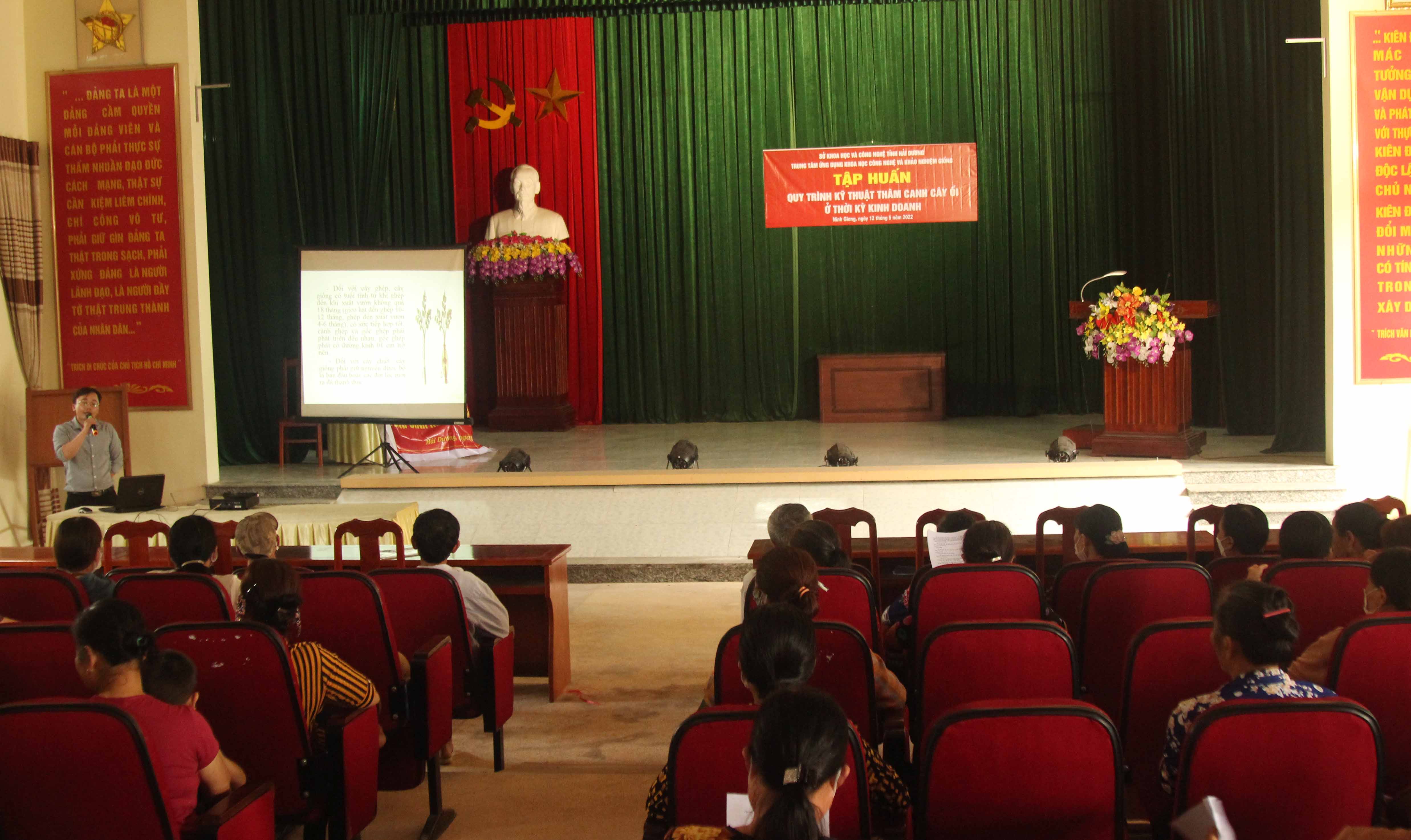 Tập huấn quy trình thâm canh cây ổi ở thời kỳ kinh doanh