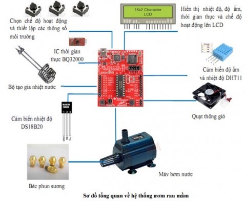 Hệ thống ươm rau mầm sạch tự động của Việt Nam 