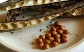 Bảo quản hạt giống rau màu quy mô nông hộ - những điều cần lưu ý