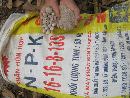 Sử dụng phân bón trong mùa mưa