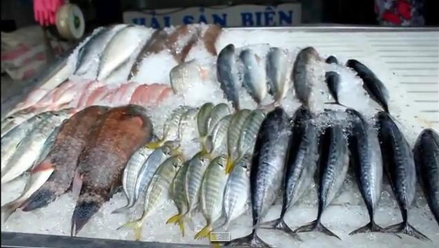   Phương pháp chọn và bảo quản cá tươi